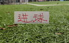 中超进球前3球队！领头羊成都进了32个