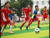 那不勒斯VS博洛尼亚直播_那不勒斯VS博洛尼亚免费在线高清直播_那不勒斯VS博洛尼亚视频在线观看无插件